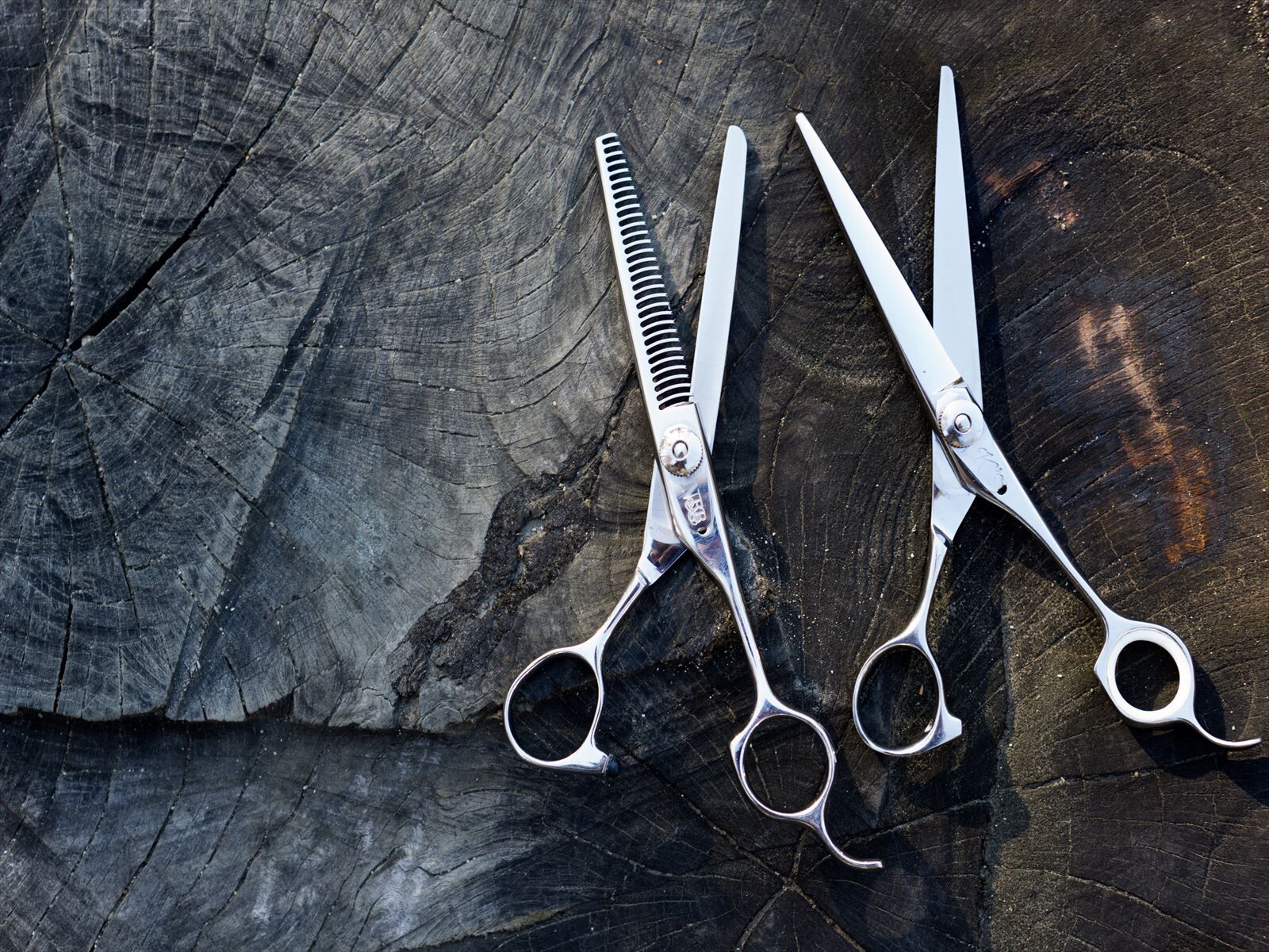 AdobeStock_132119817_R